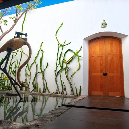 Casa Carmen Xolotl Hotel Oaxaca Exterior foto